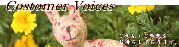 Costomer Voices