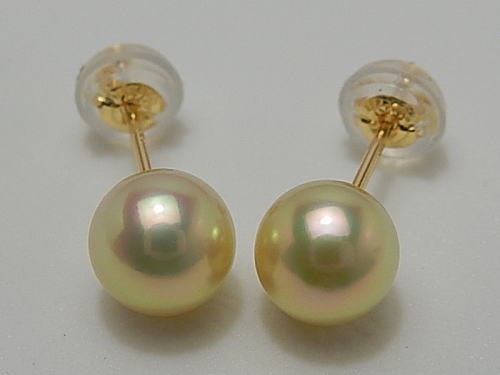 アコヤ真珠 6.3 mm 天然金色 K18 ピアス