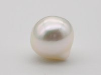 白蝶真珠ホワイトグリーンピンク 12.3×12.6mm ルース珠
