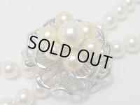 あこや総天然金色ブローチ兼用ショートナー