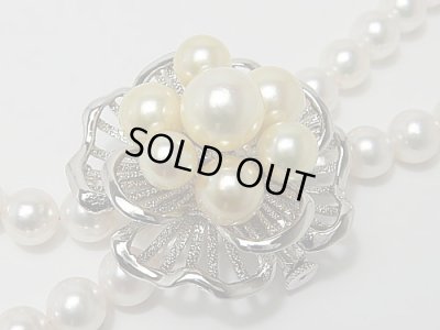 画像1: あこや総天然金色ブローチ兼用ショートナー