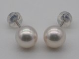画像: アコヤ本真珠ピンク系 8.0 mm PTピアス