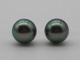 画像: 大珠アコヤ黒本真珠 9.0 mm PTピアス