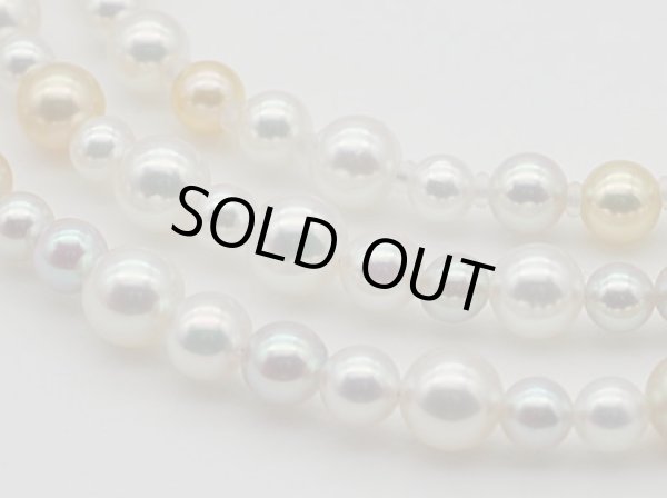 画像1: ROYAL AKOYA BABY NATURAL COCKTAIL NECKLACE ORIGINAL