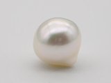 画像: 白蝶真珠ホワイトグリーンピンク 12.3×12.6mm ルース珠