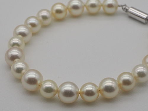 画像1: アコヤ真珠総天然色ブレスレット