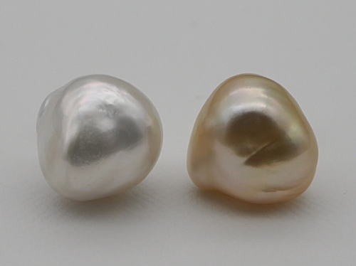 画像1: 超特大 白蝶バロック真珠  ホワイト＆ゴールド K14WGピアス