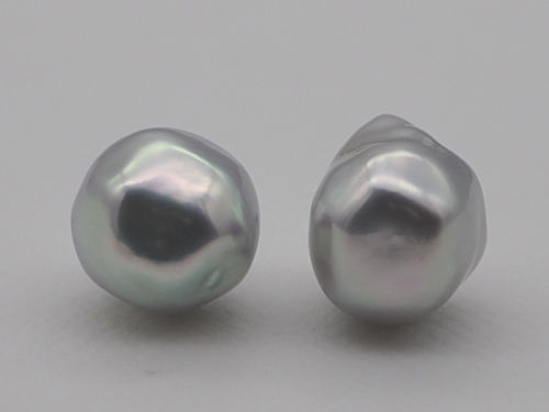 画像1: 白蝶スクエアーパール Pt900ピアス