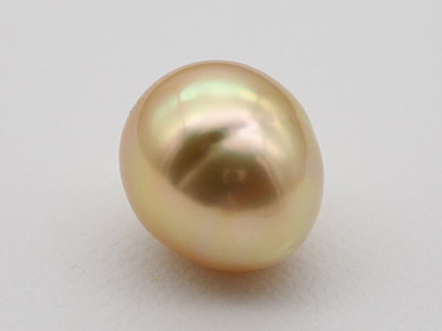 画像1: 白蝶真珠13.2×15.1mm オレンジゴールド特大ドロップルース