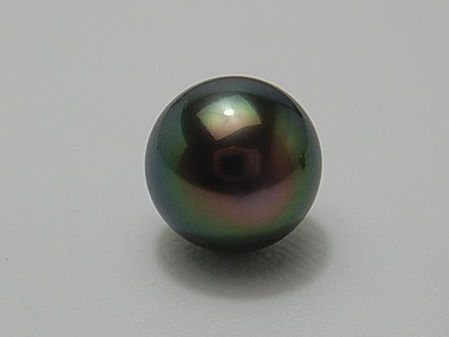 画像1: 大珠13 mm リキテア産 黒蝶真珠  グリーンブラック タイピン